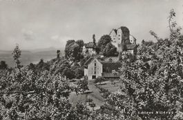 Schloss Wildegg, 1948