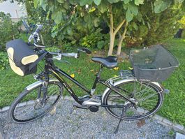 Fahrrad Flyer T-Serie T8.2 Trapezrahmen /45 km - Gr. S