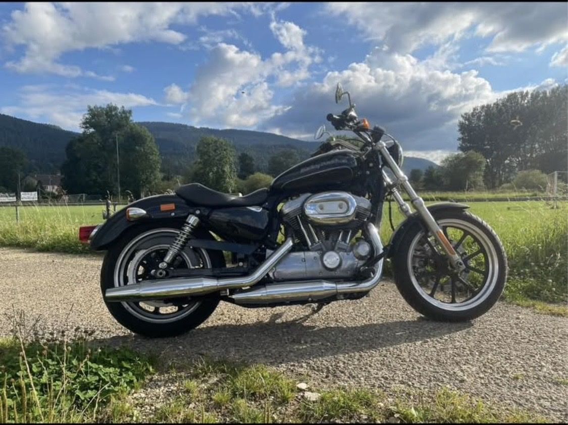 Harley-Davidson Cruisers: Harley Davidson XL883L – D'occasion à Fleurier par loiseau2112 1