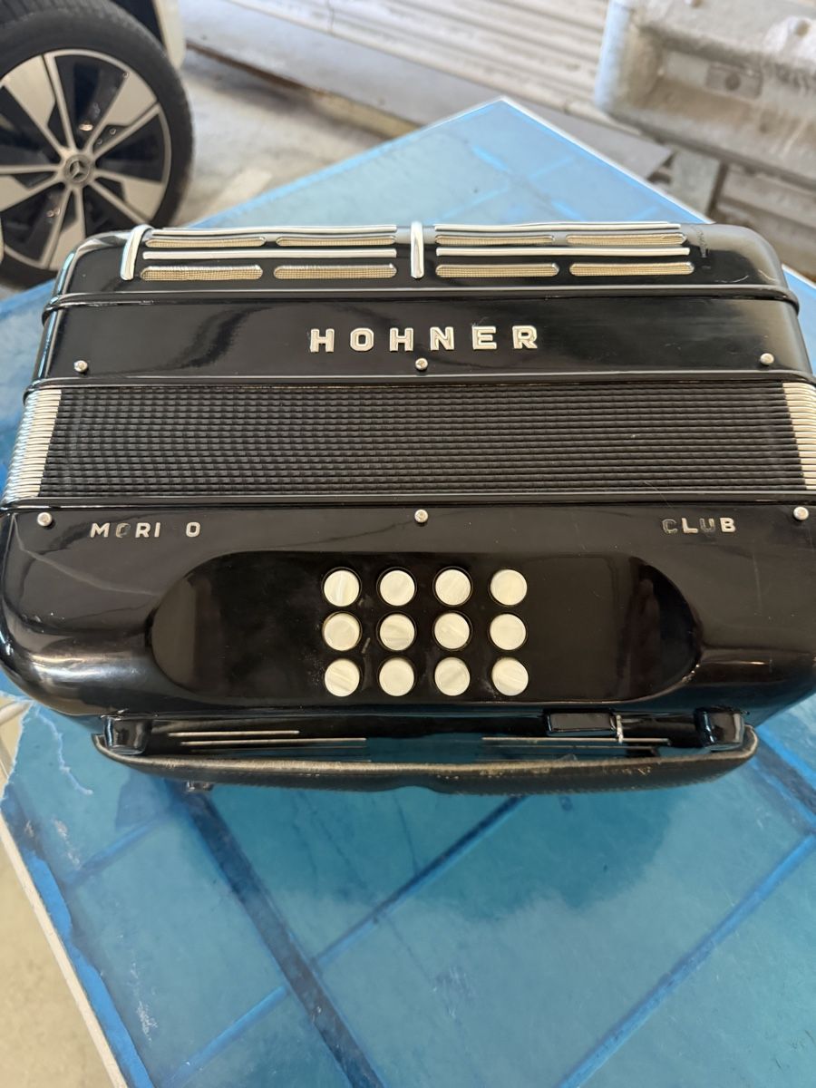 Hohner Strumenti musicali: Hohner morino Club – Usato da Muhen venduto da MiGeiss64 5