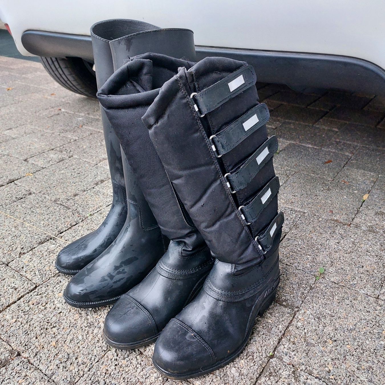 Scarpe per ragazze: 2 Paar Reitstiefel Gr. 36 – Usato da Oberlunkhofen venduto da Wuschel_26
