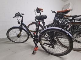 Kinder Mustang Velo Appaloosa