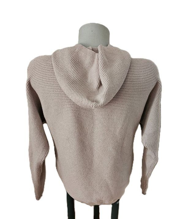 Pullover & Sweatshirts: leichter Strick Pulli mit Kapuze Gr. XS Glitzerfäden – Gebraucht aus Füllinsdorf von Sunnebliemli7 1
