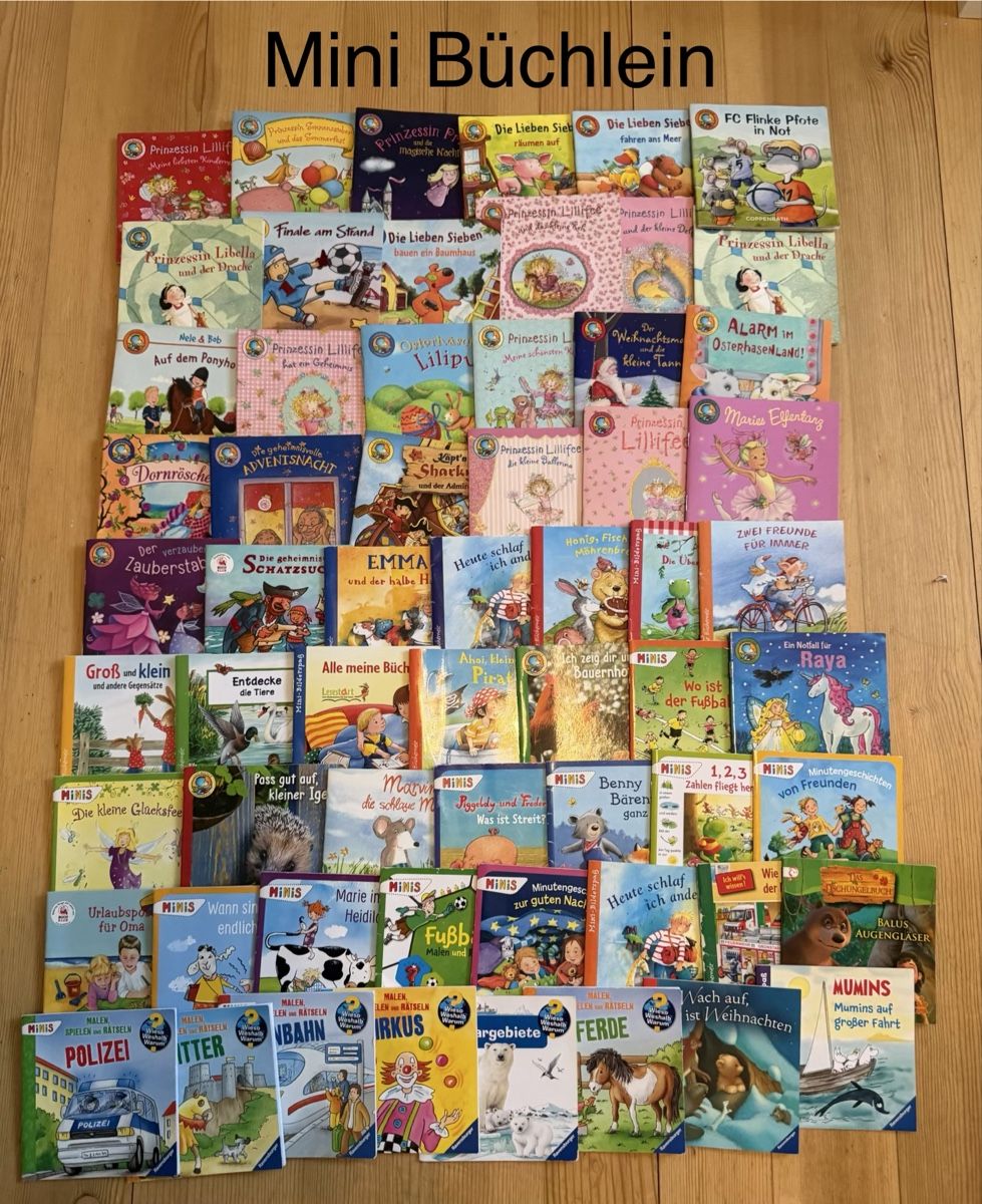 Libri: 60 Mini Büchlein zu Verkaufen – Usato da Pratteln venduto da GinaLisa13