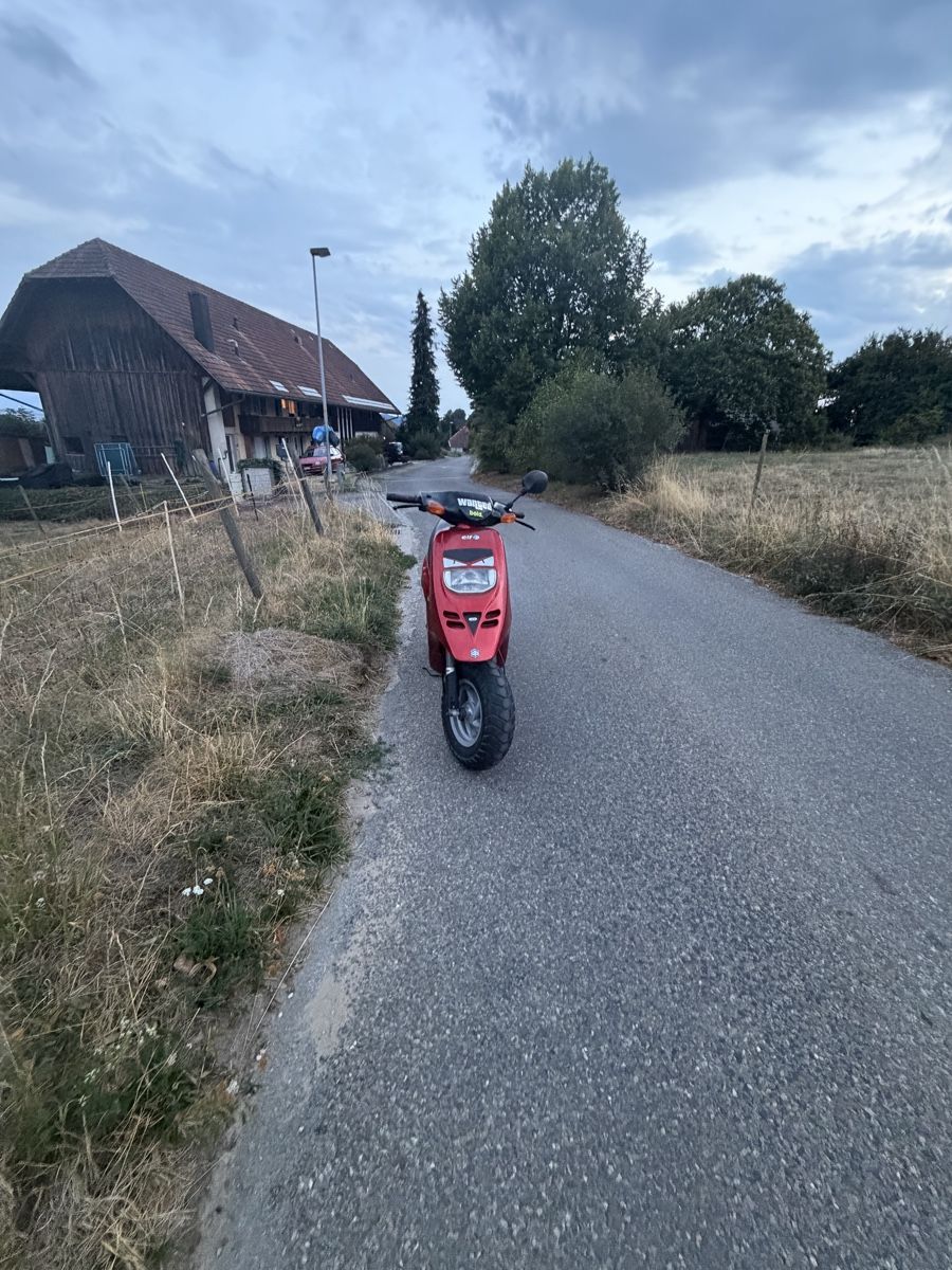 Piaggio Scooters: Roller Piaggio guter Zustand – Neuf (Voir description) à Ins par lis_88yc 1