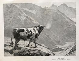 Kunst, Eugène  Burnand, Moudon, Stier, Landwirtschaft, 1900