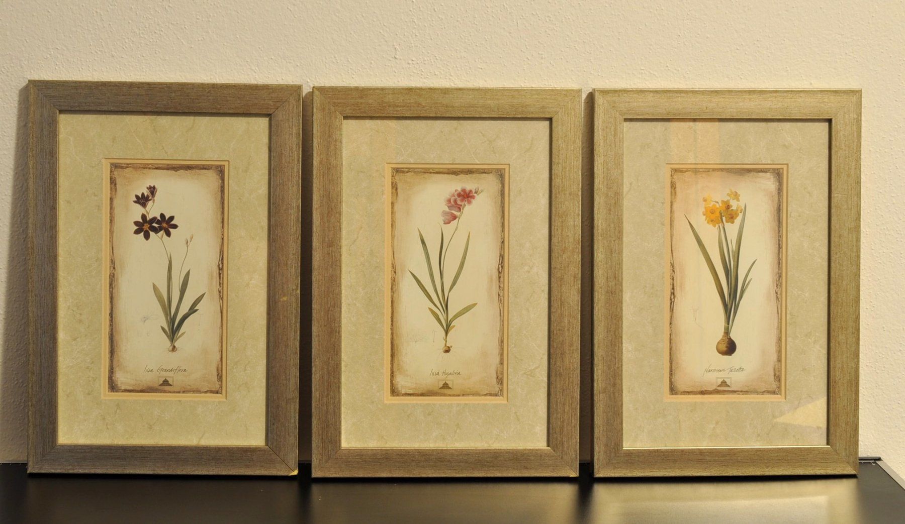 Gemälde: Quadri botanici con fiori, set di 3, originali – Gebraucht aus Vezia von lel_xfz5
