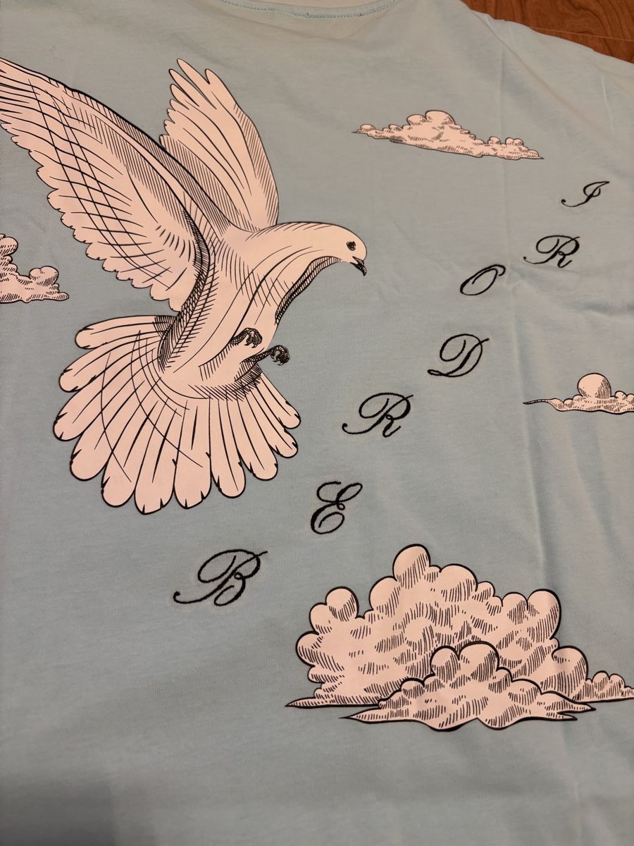 T-shirt: T-Shirt Babyblau – Nuovo e nell'imballaggio originale da Dübendorf venduto da dor_2yvd 2