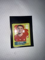 10 Panini Sticker Top Sticker