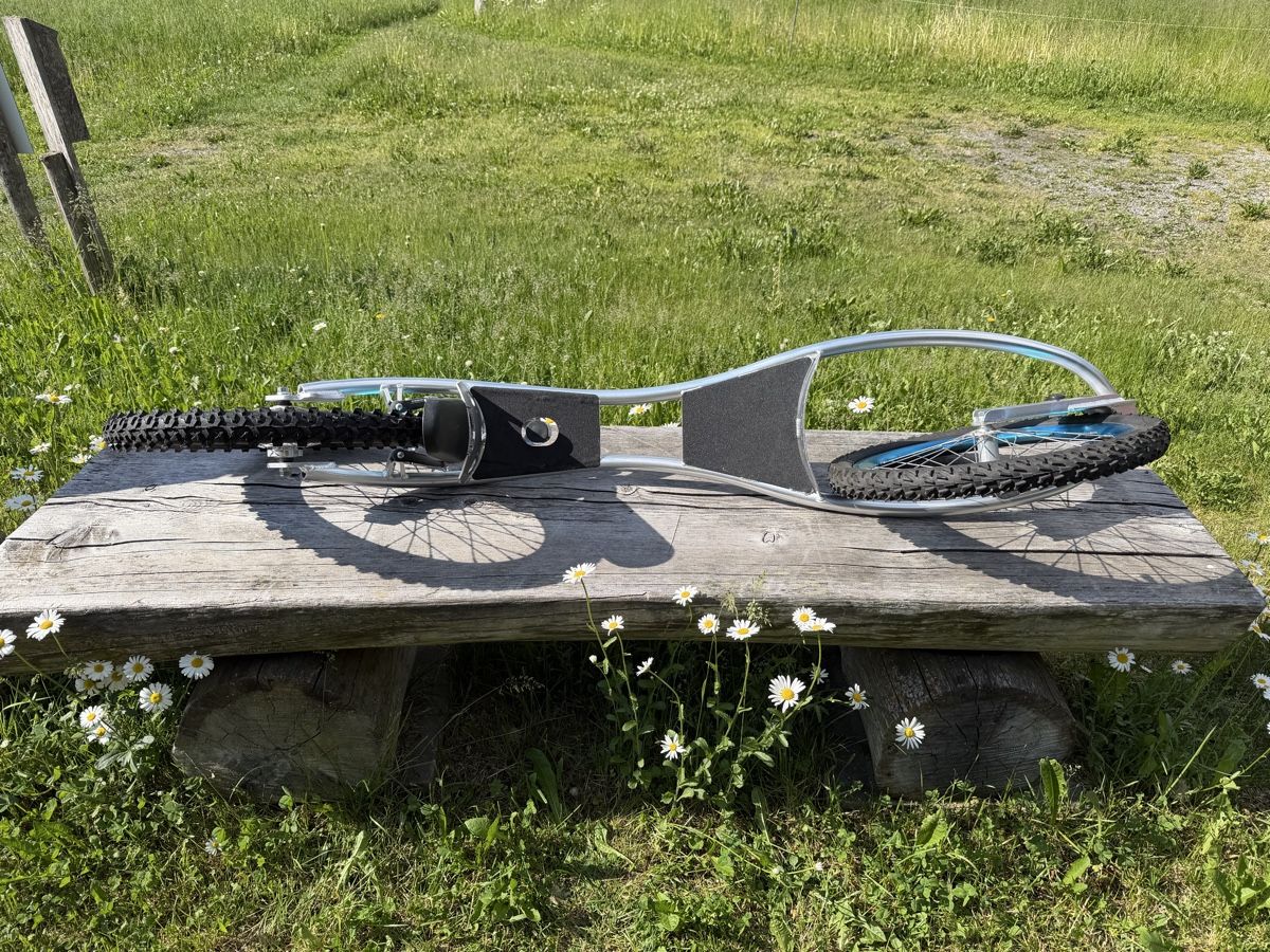Skateboards: Dirt Surfer Rollerboard, guter Zustand – Usato da Davos Wolfgang venduto da nostyle 3