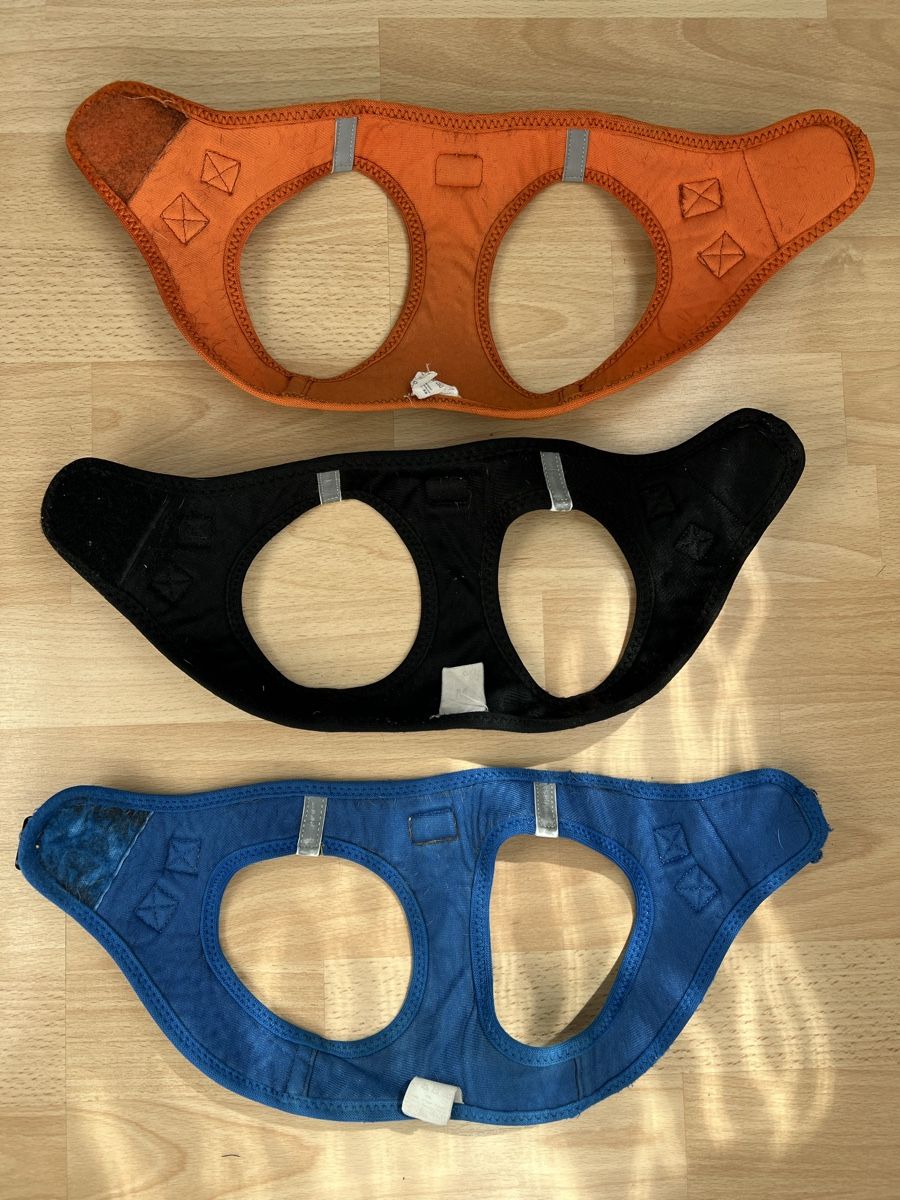 Kletterausrüstungen: Curli Hundegeschirr – Gebraucht aus Weite von nag_xn7g 1
