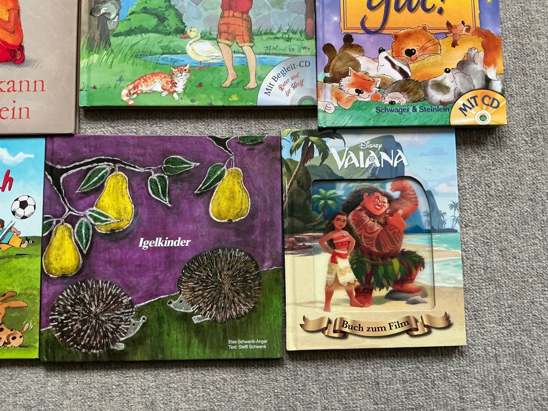 Bücher: super schönes Kinderbuch-Paket, 12 Bücher – Gebraucht aus Jona von Jancy60 6
