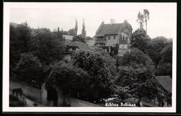Cartoline postali: AK Bellikon, Partie am Schloss – Usato da Berlin venduto da bartko-reher