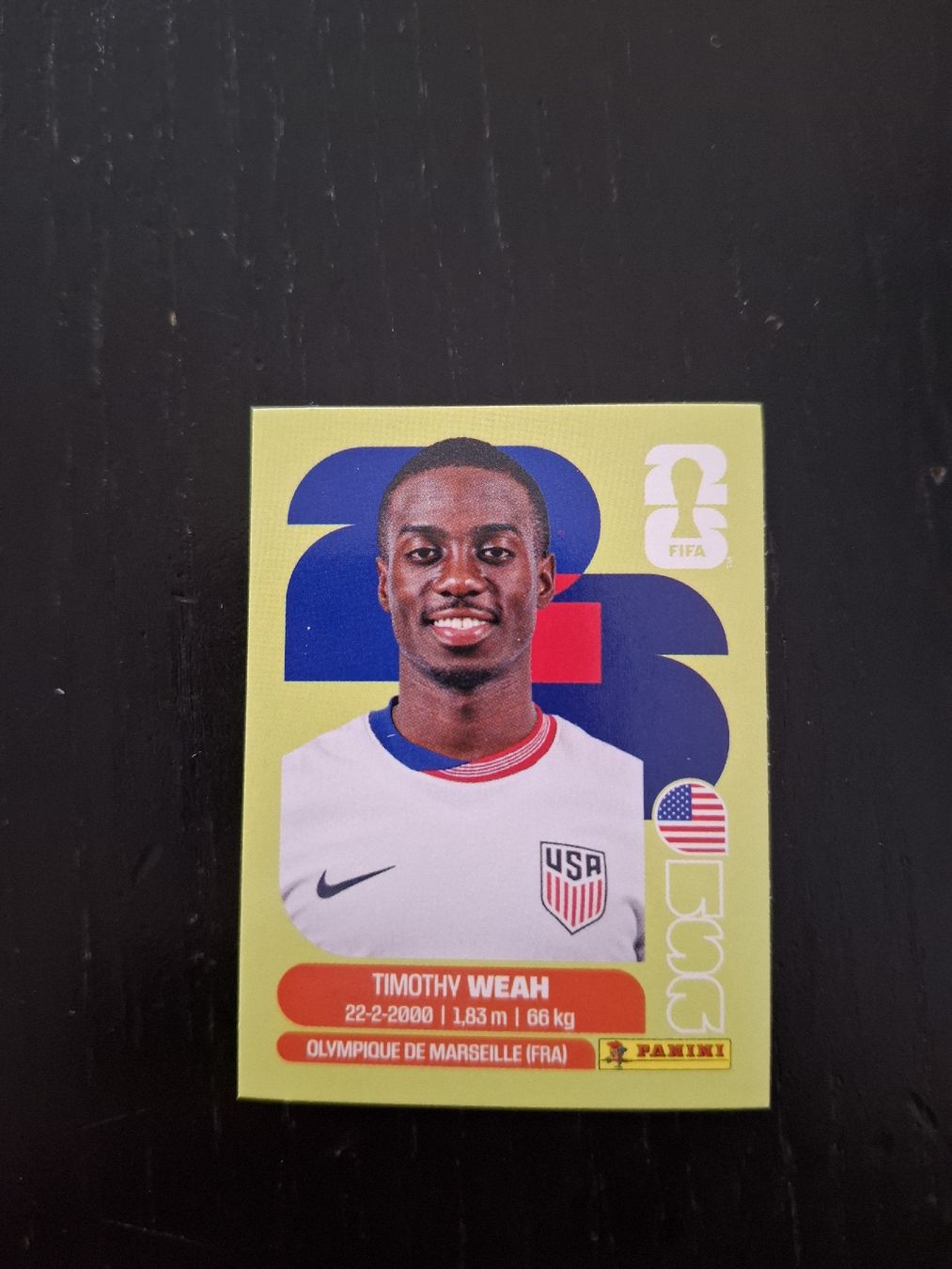 Panini Sammelbilder & Trading cards: panini 2026 usa 12 – Neu (gemäss Beschreibung) aus Luterbach von Tex_1366