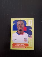 panini 2026 usa 12