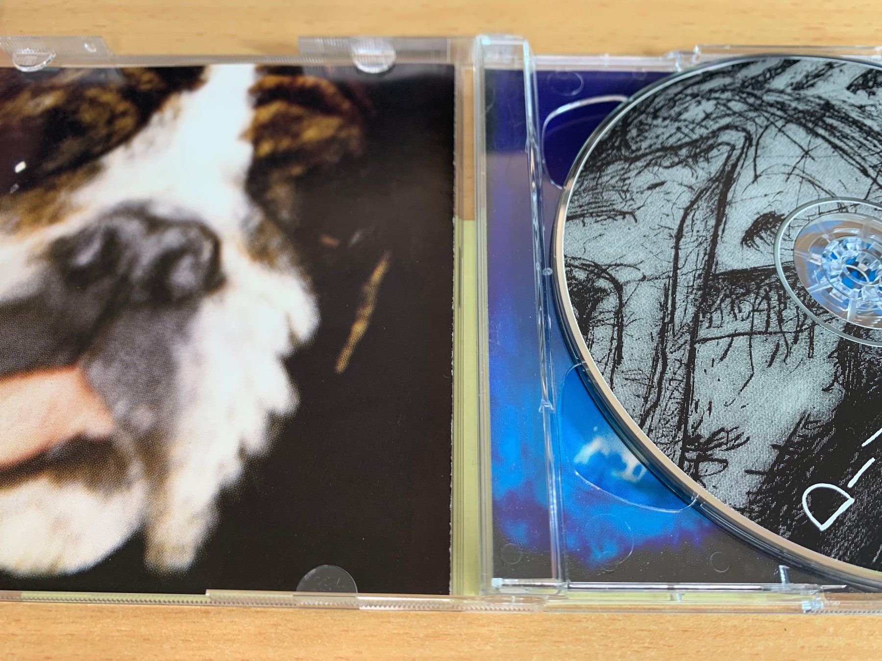 CD: Dinosaur Jr – Hand It Over - 2 CD – Usato da Rikon im Tösstal venduto da Alpenmutz 2