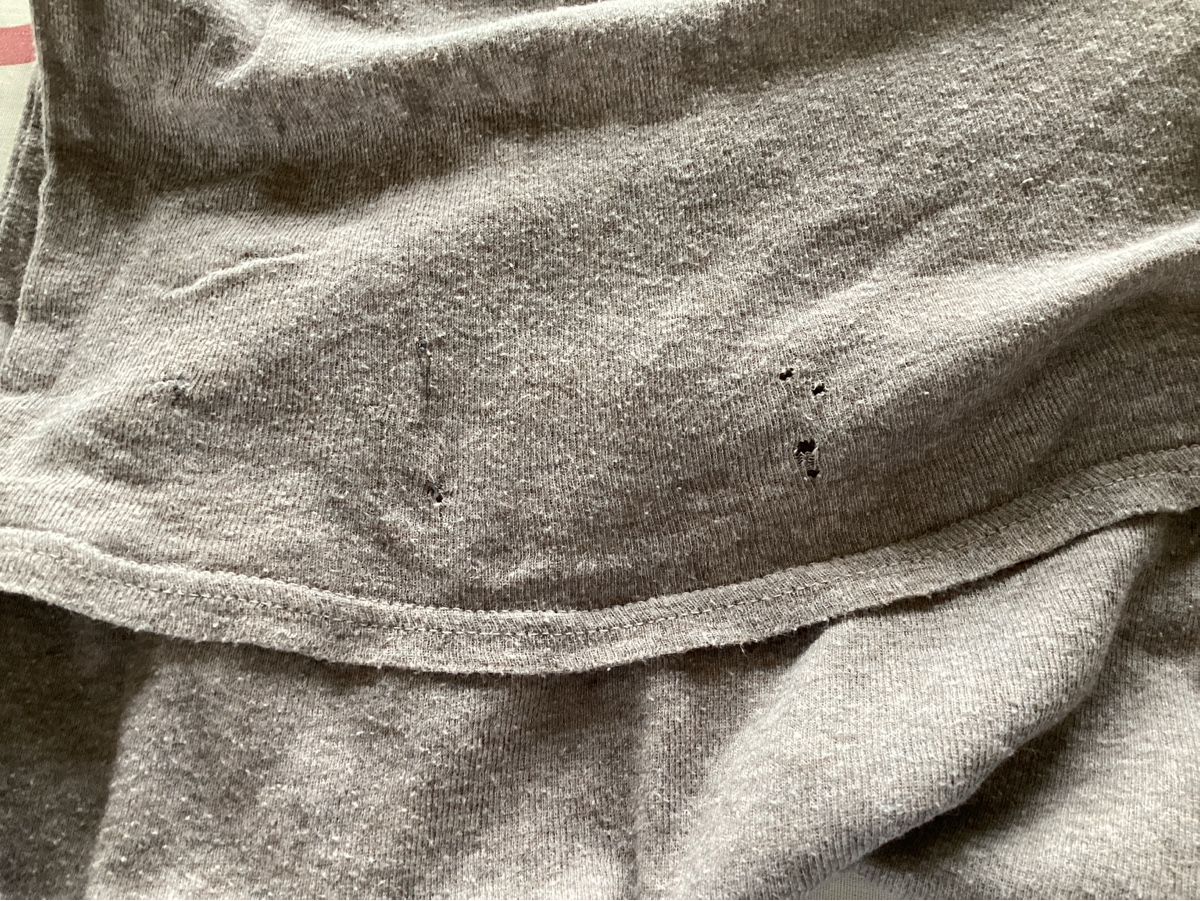 T-shirt: American Vintage, Damenshirt, Gr. L – Difettoso da Salenstein venduto da Esprit57 3