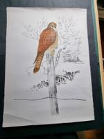KÜNSTLER ? LITHOGRAPHIE SIGNIERT NUMMERIERT