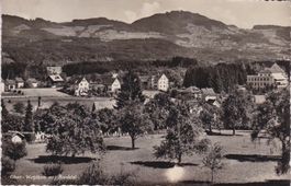 Ober-Wetzikon mit Bachtel. 1949
