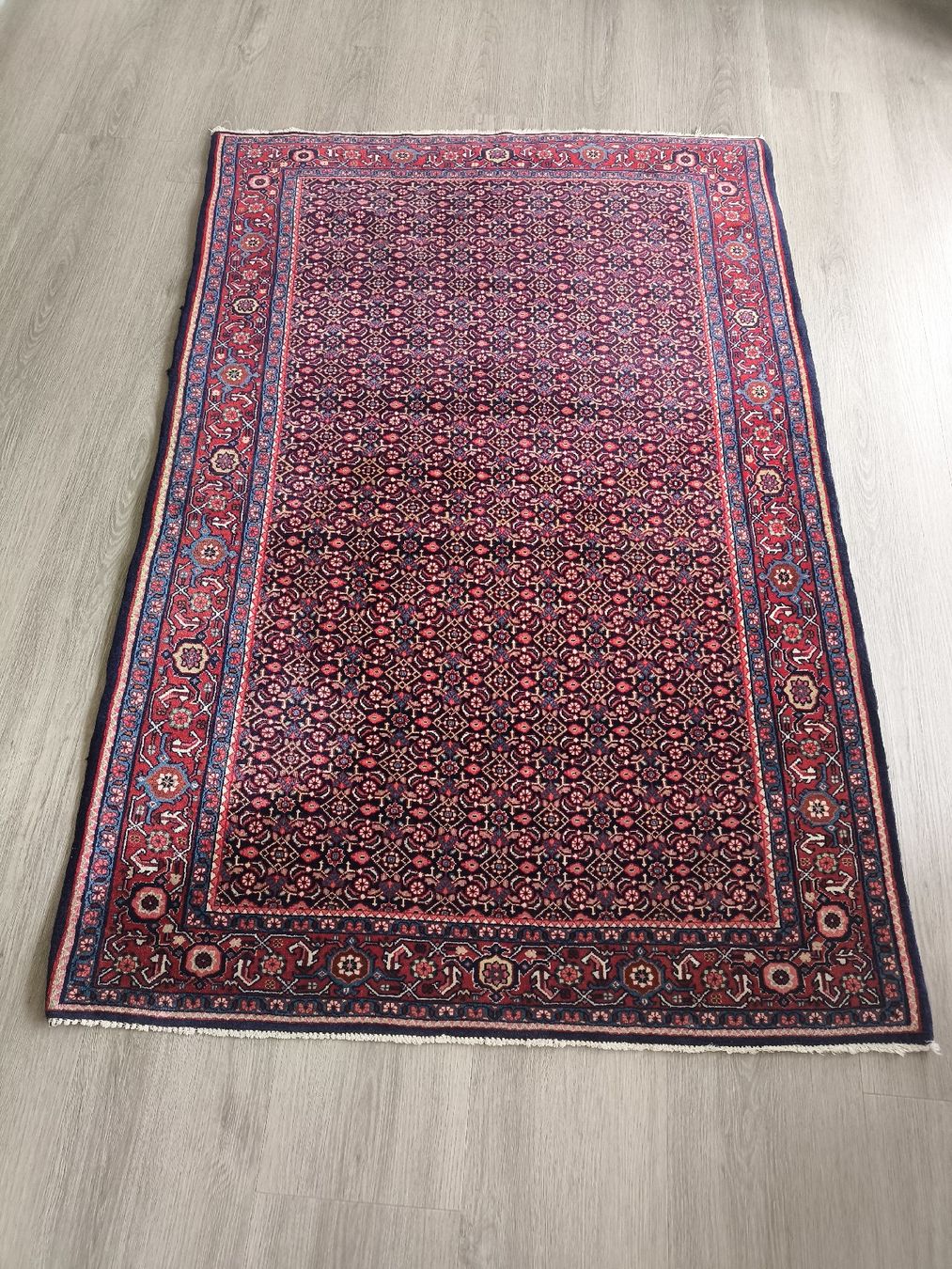 Tappeti: Persian Rug 158x106cm Rot Blau Muster – Usato da Grüt (Gossau ZH) venduto da sca_y5dr 1