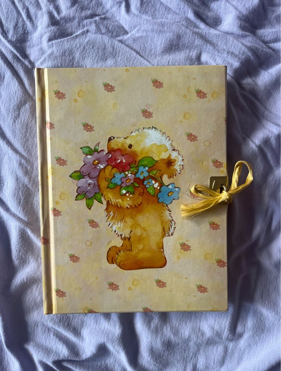 Bücher: Süsses Teddy-Tagebuch - Vintage Charme – Gebraucht aus Basel von ami_26yf