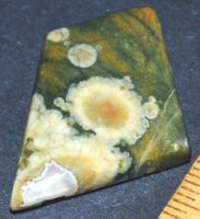 Cabochon L-4131 – Australischer Regenwald Rhyolith 33x24mm