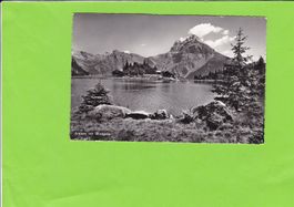 Arnisee