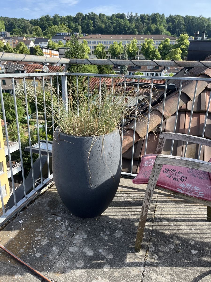 Vasi per fiori: Blumentopf für Terasse – Usato da Zürich venduto da Pestopasta 4