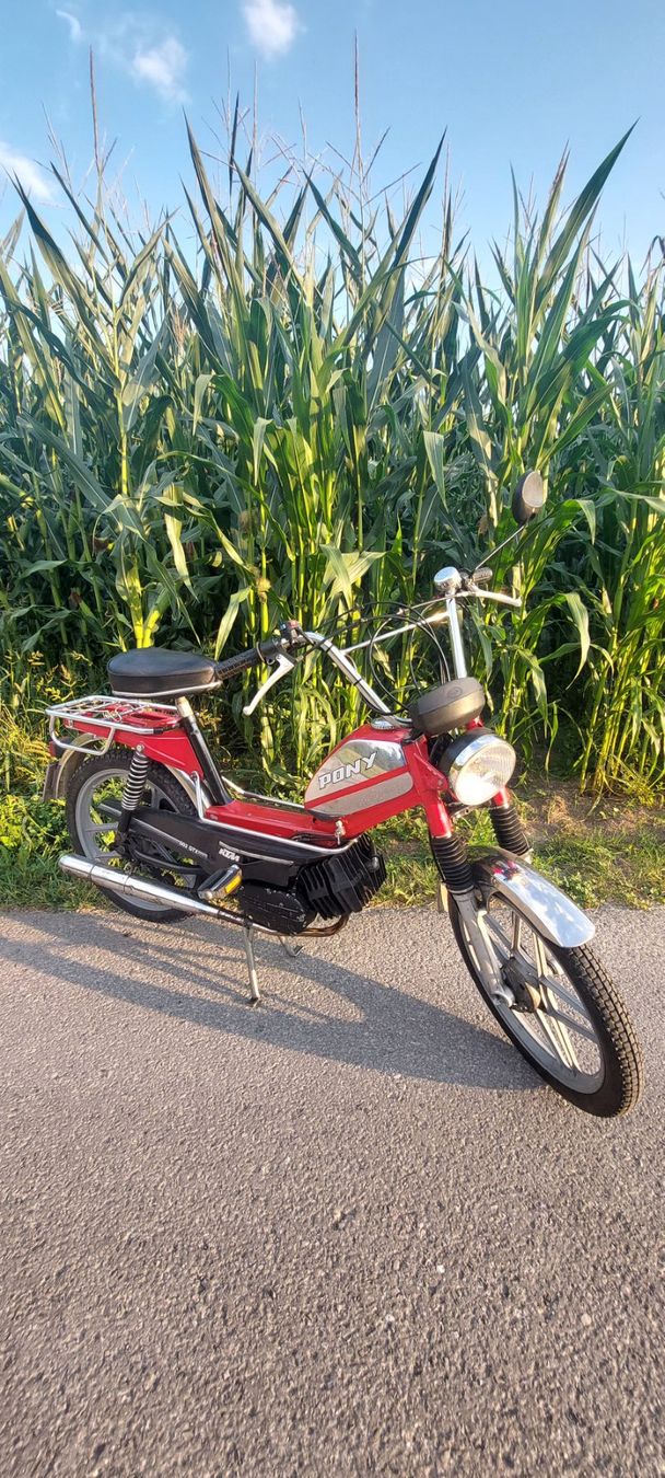 Pony Mofas: Mofa Pony – Gebraucht aus Giswil von Stocki02 3