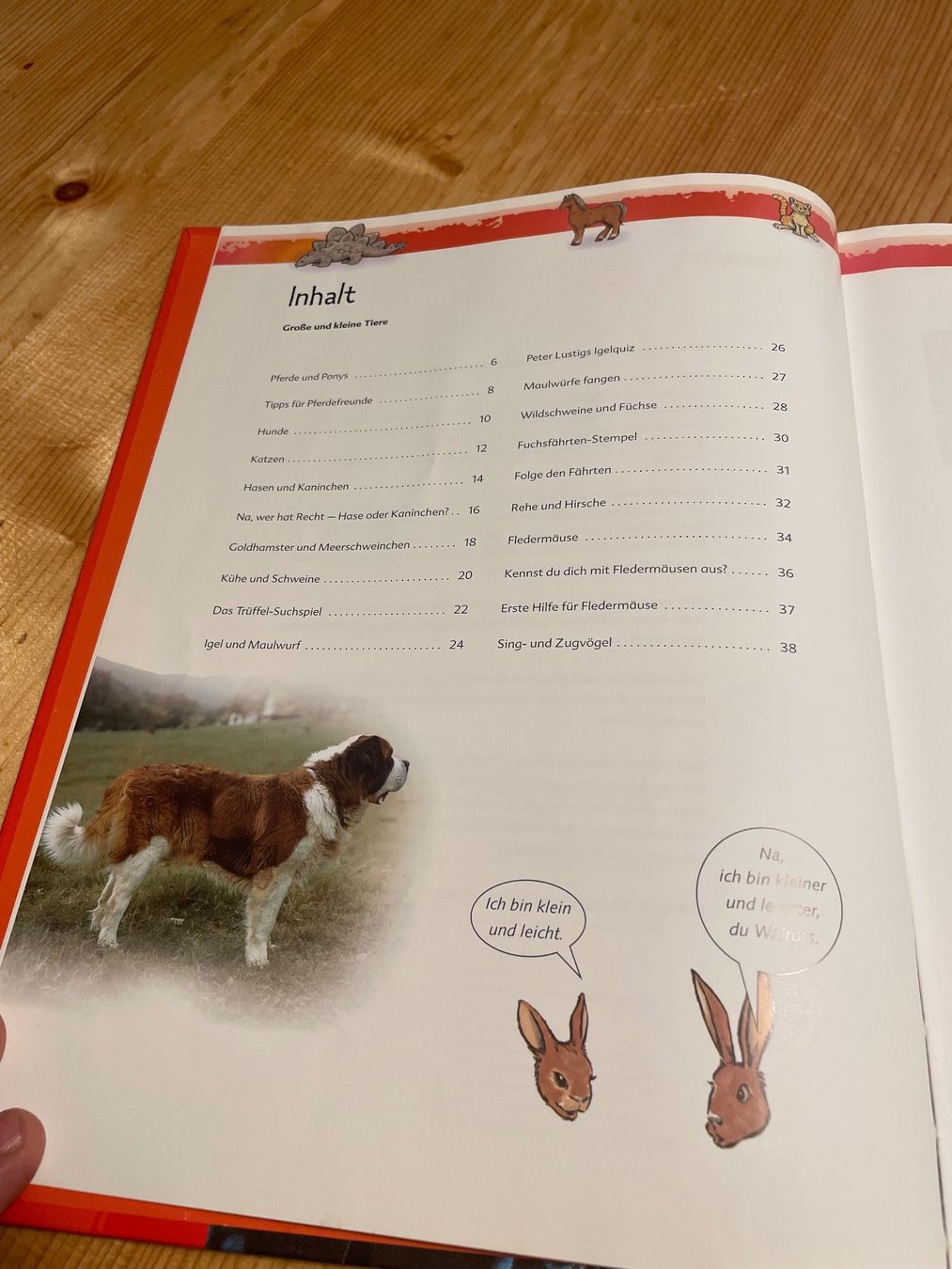 Libri: Kinder-Löwenzahn Kleine und grosse Tiere – Usato da Sent venduto da ManuelB07 2