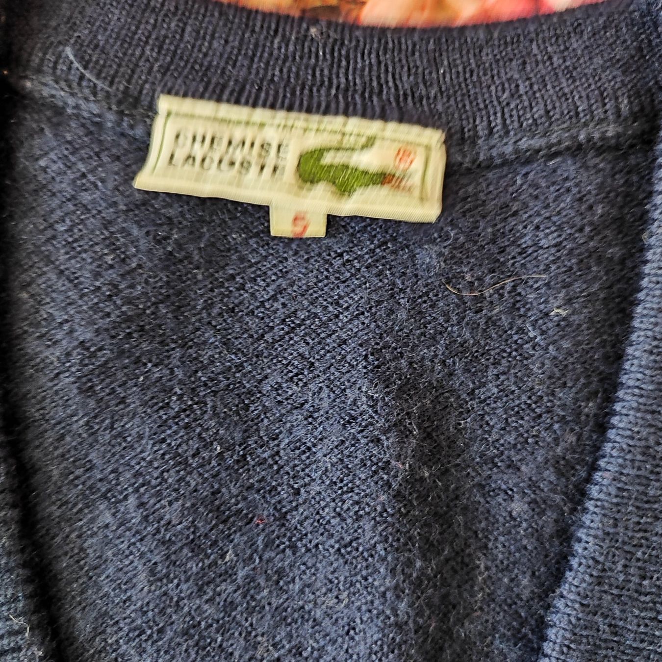 Lacoste Maglioni & Felpe: Lacoste Herren Pulli Gr 5 – Usato da Langnau am Albis venduto da Judithsebi 2