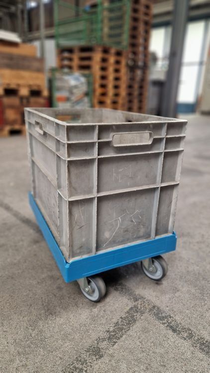 Contenitori & Simili: Kunstoffbox mit Transportwagen – Usato da Rapperswil SG venduto da Nino230