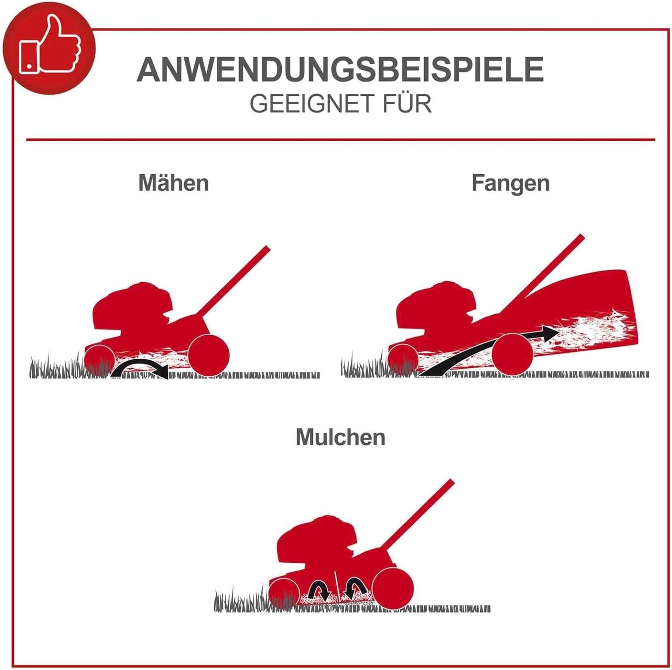 Scheppach Rasenmäher: Scheppach MS161-46 Benzin Rasenmäher – Neu und originalverpackt aus Bottighofen von zaap 5