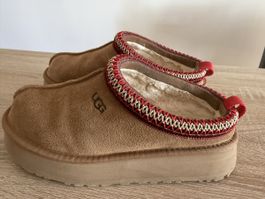 UGG Tazz Chestnut Gr. 39