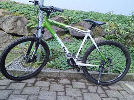 Mountainbike Velo Bergsteiger Stratos