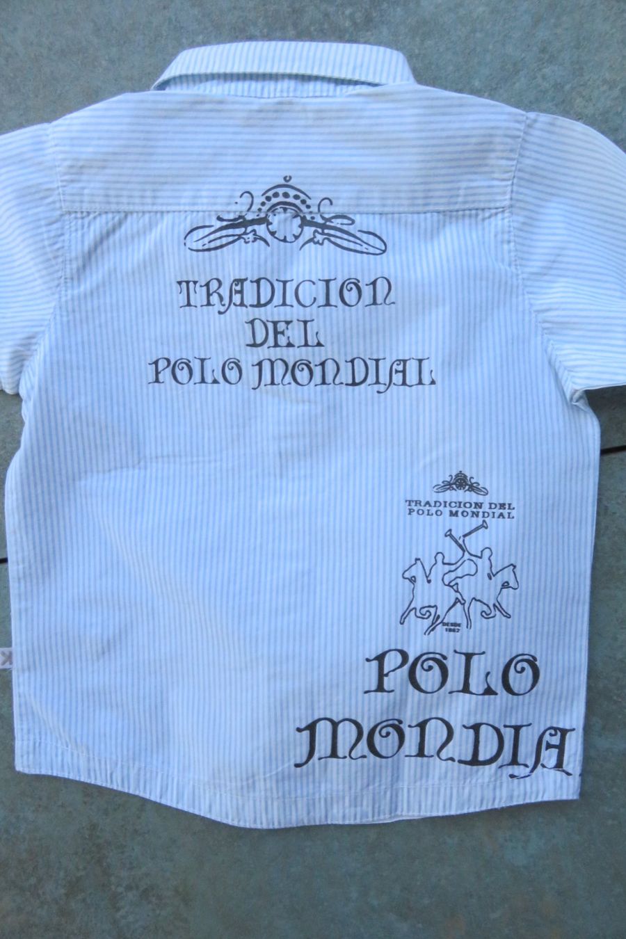 Camicie, T-shirt & Polo: KANZ Hemd Gr.  98 – Usato da Wil ZH venduto da Tamagy 1