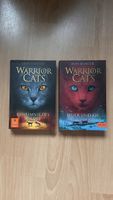 Warrior Cats, Geheimnis des Waldes, Feuer und Eis