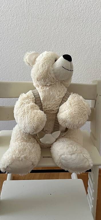 Chaises hautes: TRIPPTRAPP STOKKE Sicherheitsgurt – D'occasion à Kilchberg ZH par lolena