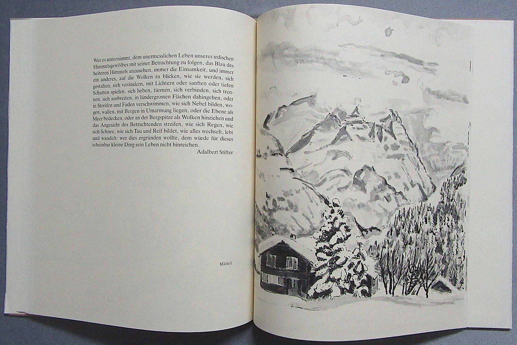 Libri: Braunwalder-Skizzen von Ernst Weber – Usato da Auenstein venduto da Padabimbim 6