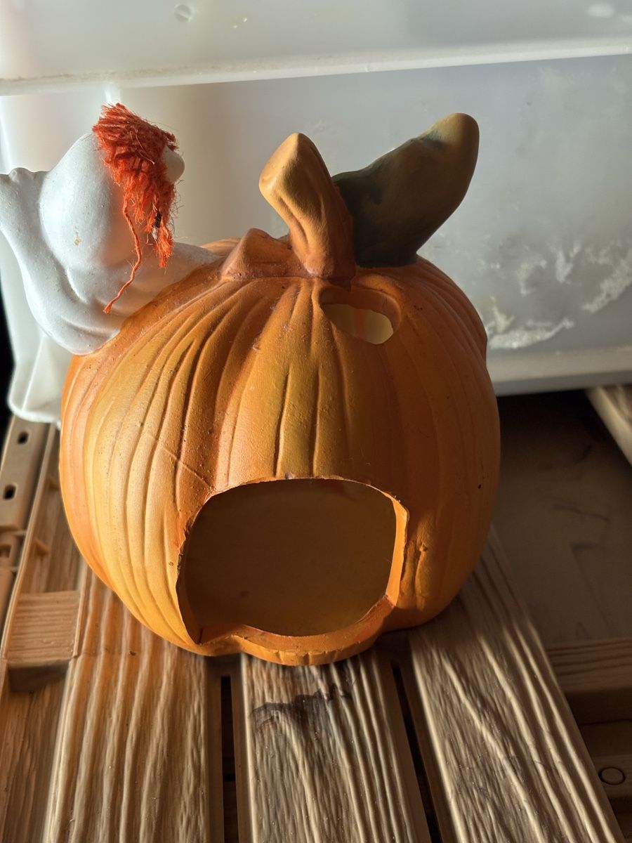 Tutte le decorazioni: Halloween Kürbis Teelichthalter – Usato da Ettiswil venduto da joe_69vb 1