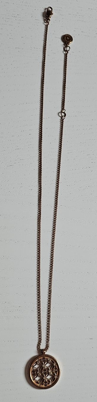 Michael Kors Catenine: Rosegold Michael Kors Halskette – Nuovo (secondo la descrizione) da Ostermundigen venduto da Secundo_Hand 4