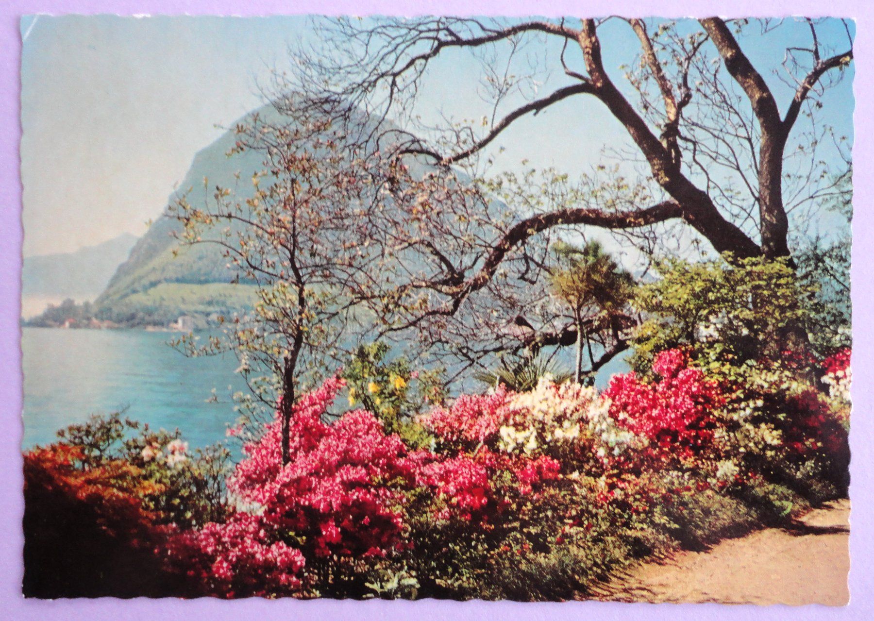 Cartoline postali: Lugano - Quai – Usato da Fétigny venduto da Billy2miny
