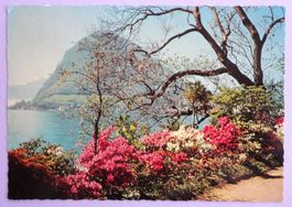 Lugano - Quai