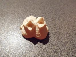 Vögel 2 Stück, weiss, offener Mund