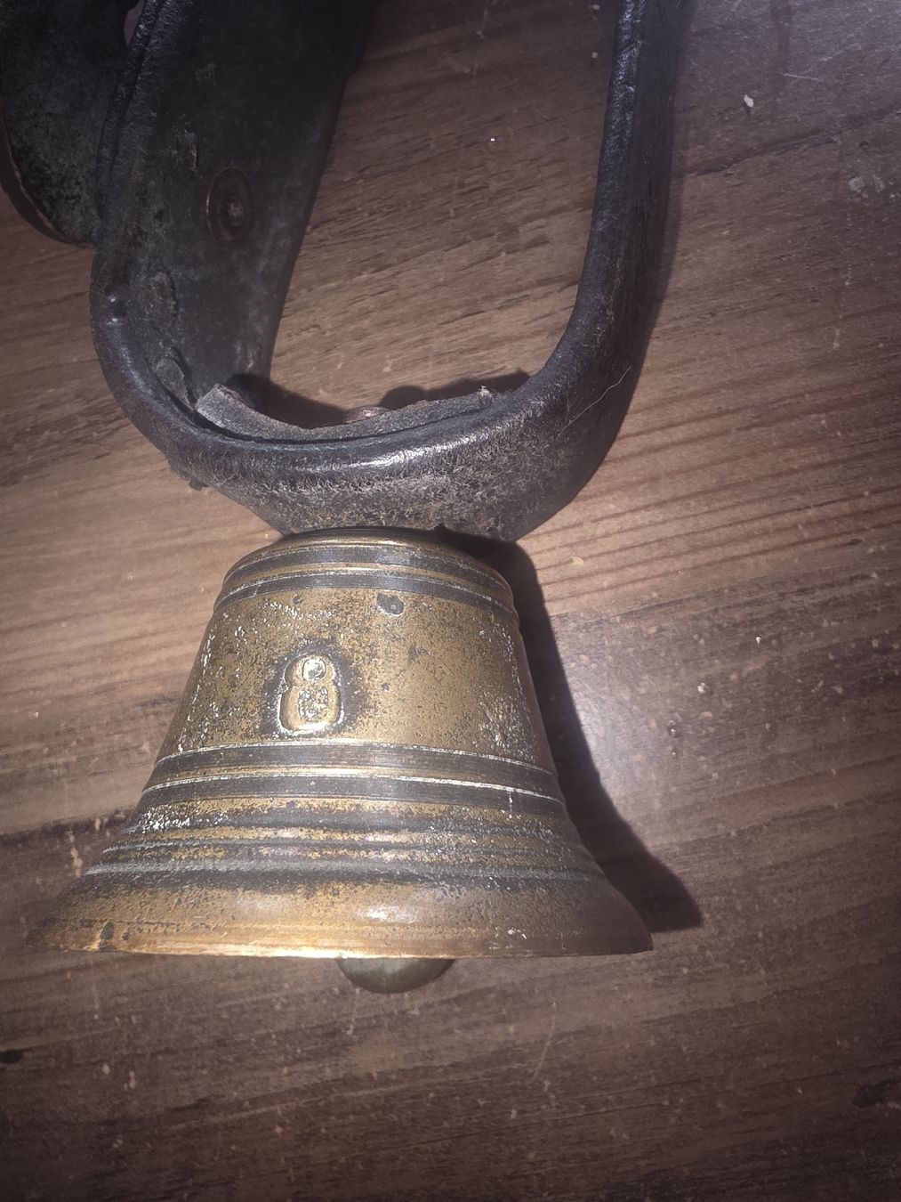 Campanacci mucche: Ziegenglocke Glocke mit Lederhalsband – Usato da Grossaffoltern venduto da kaefer14 1