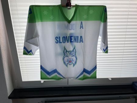 Eishockey Trikot