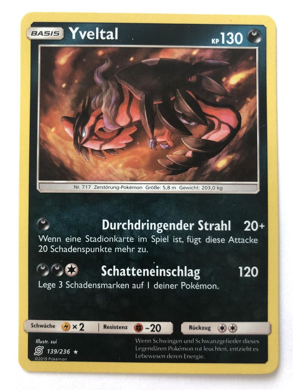 Pokémon Sammelbilder & Trading cards: Yveltal - Holo - Pokemon TCG – Neu (gemäss Beschreibung) aus Nussbaumen AG von Pika-Shop