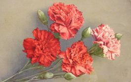 BLUMEN gel. 1920 v. Niederoesch n. Walterswil