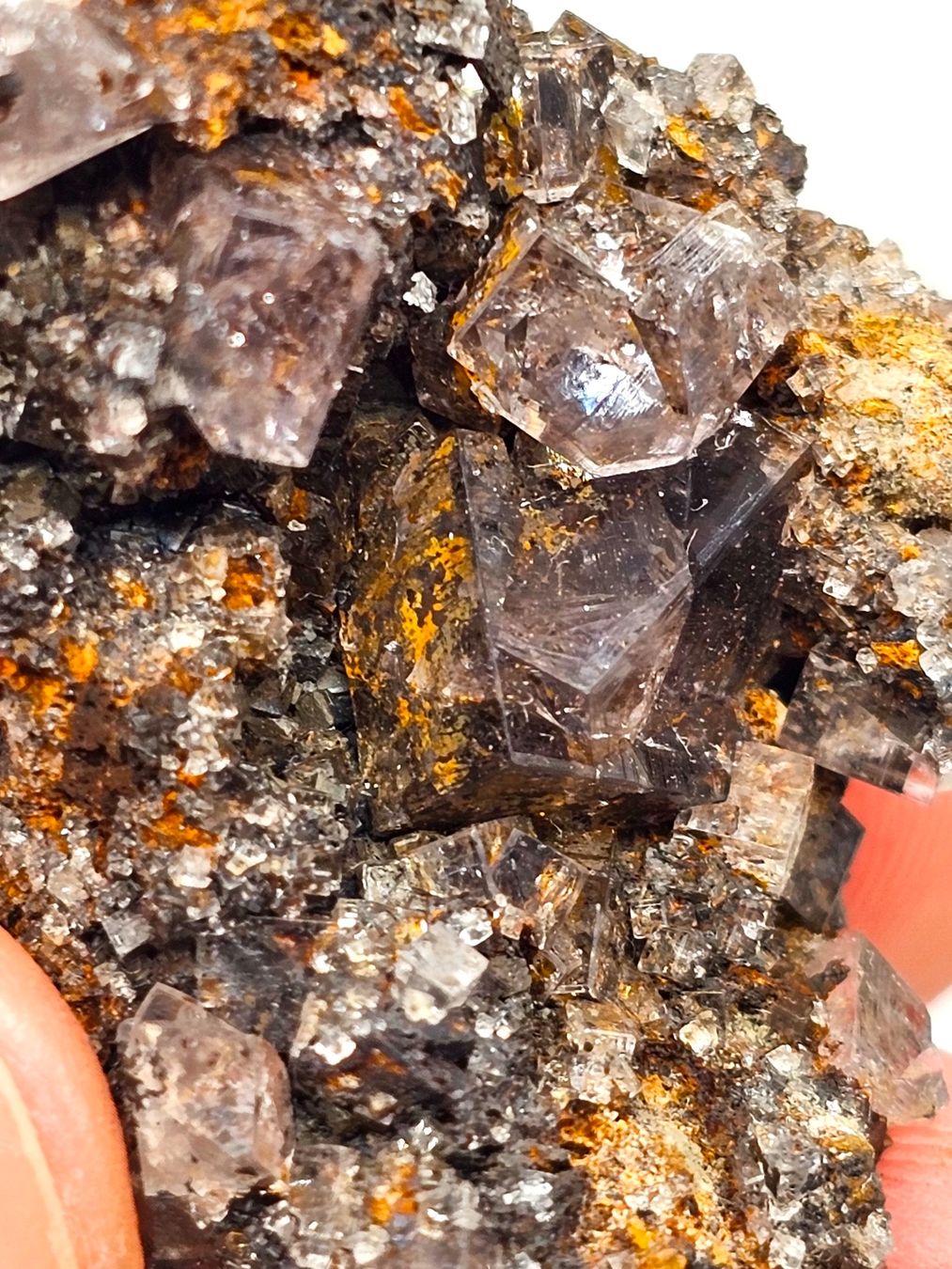 Mineralien & Heilsteine: Fluorite Weardale, County Durham, England, UK – Gebraucht aus Figino von panshop 3