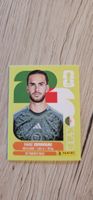 Fifa World Cup Panini ALG 11